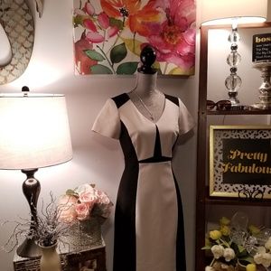 Tahari Arthur S. Levine Color Block  Column Dress